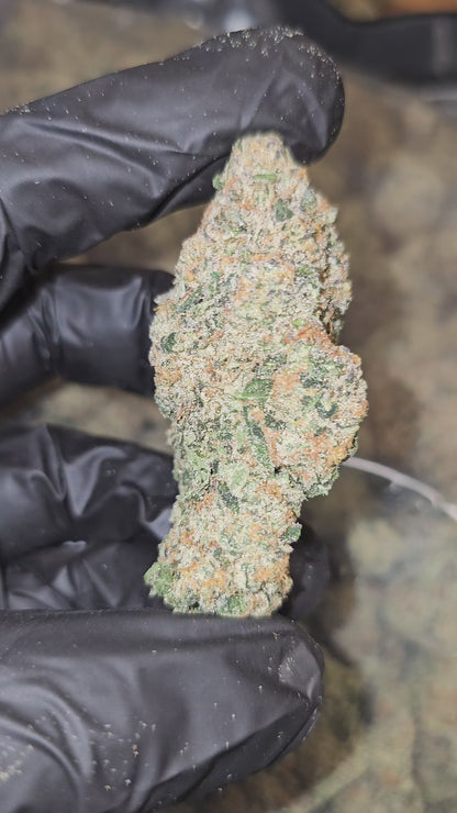 Frog Poison | First Cut Exotics | Flower | 7 Gram Packs