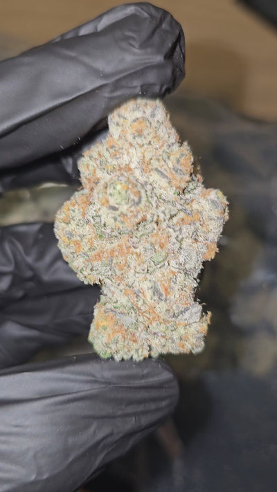 Astronaut Status | First Cut Exotics | Flower