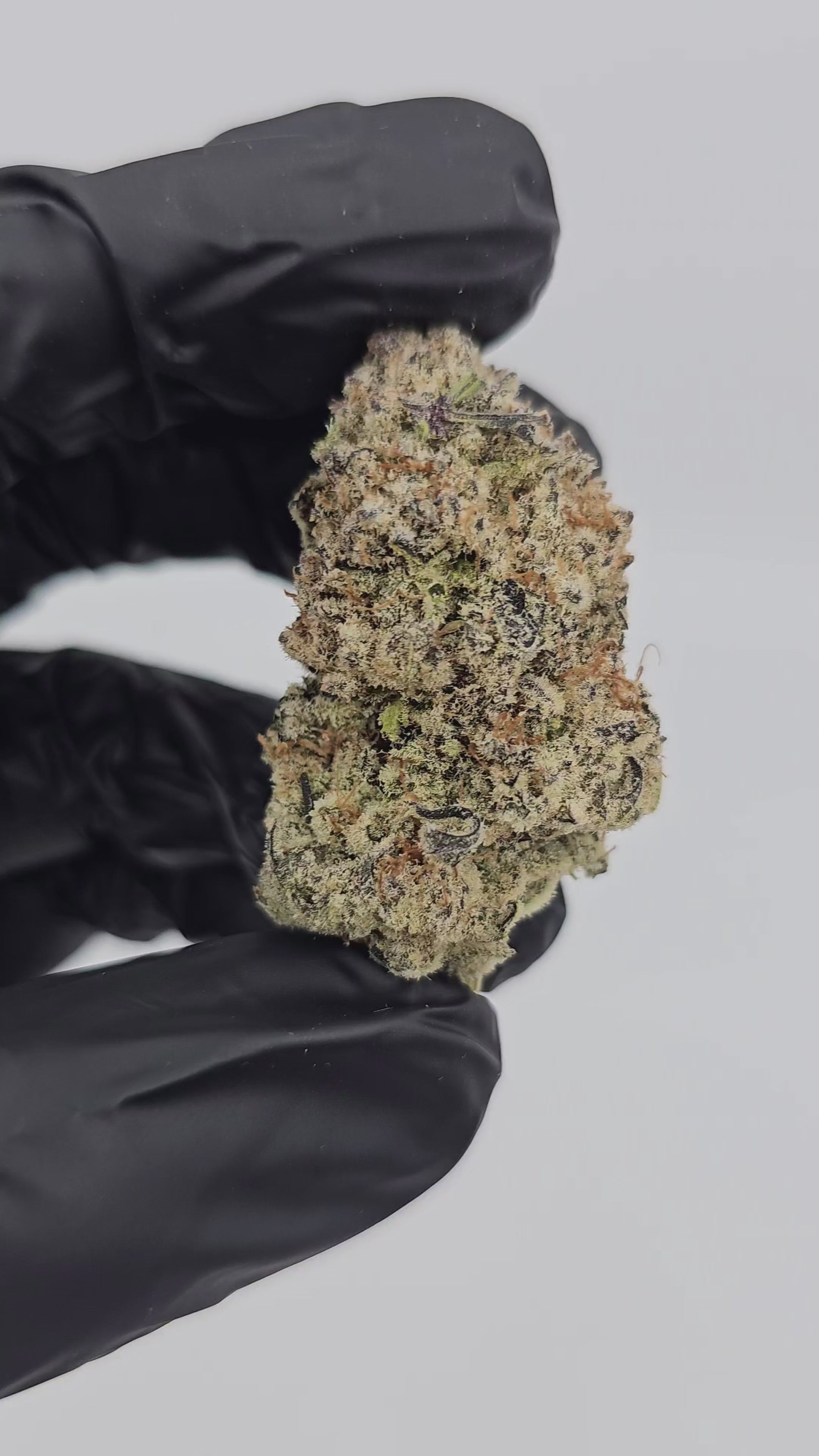 Load video: Banana MAC | First Cut Exotics | Flower