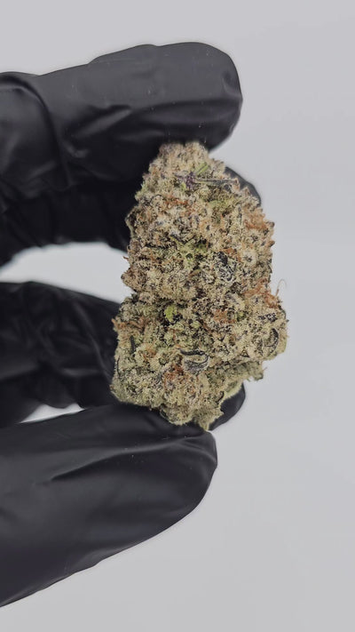 Banana MAC | First Cut Exotics | Flower