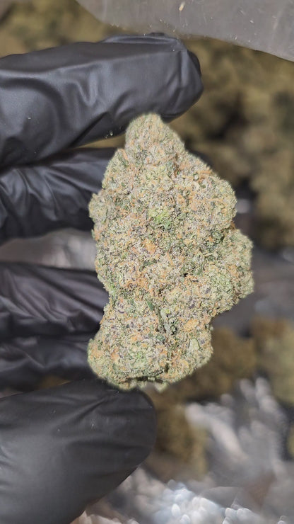 Boss Hog | Boutique Exotics | Flower | MEMBERS ONLY DEAL