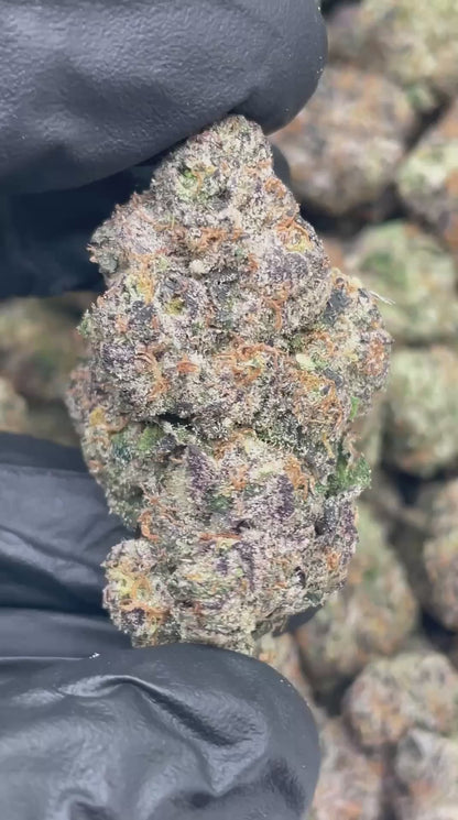 Candy Gas | Boutique Tier | Flower