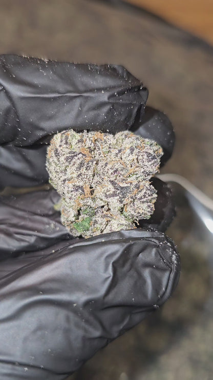 Super Runtz | First Cut Exclusive | Flower | 7g Packs