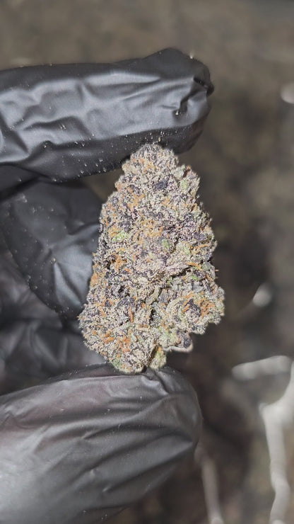 Runtz OG | Boutique Exotics | Flower | 30.92% | ON SALE