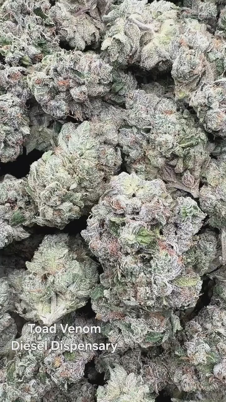 Toad Venom | First Cut Exotics | Flower