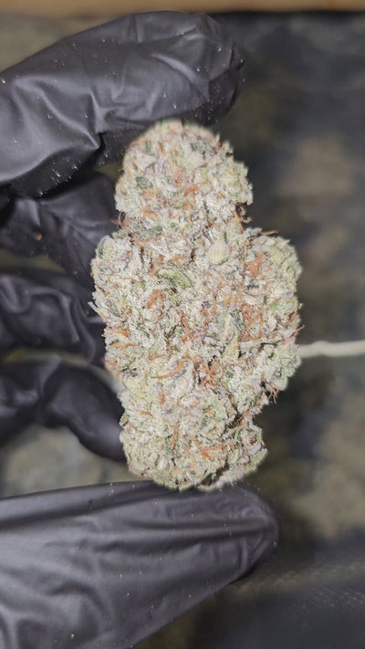 StrawnApple | First Cut Exotics | Flower