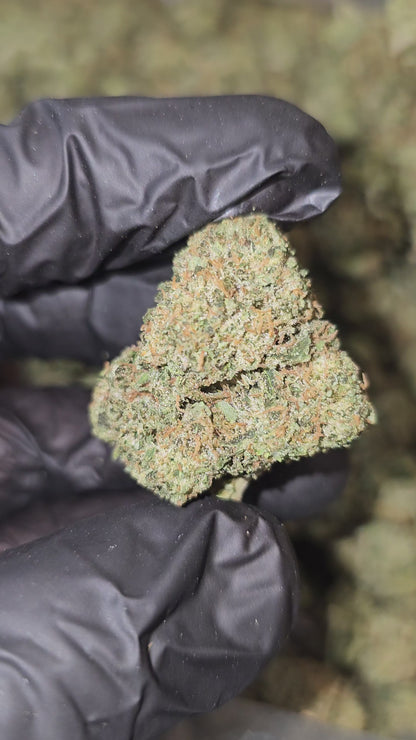 Alien Banana OG | Top Shelf | Flower | ON SALE