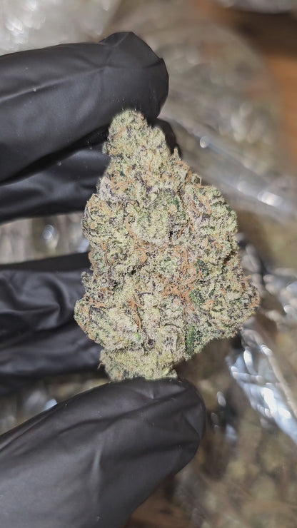 Blueberry Bolo Runtz | First Cut Exclusive | Flower | 37.35%