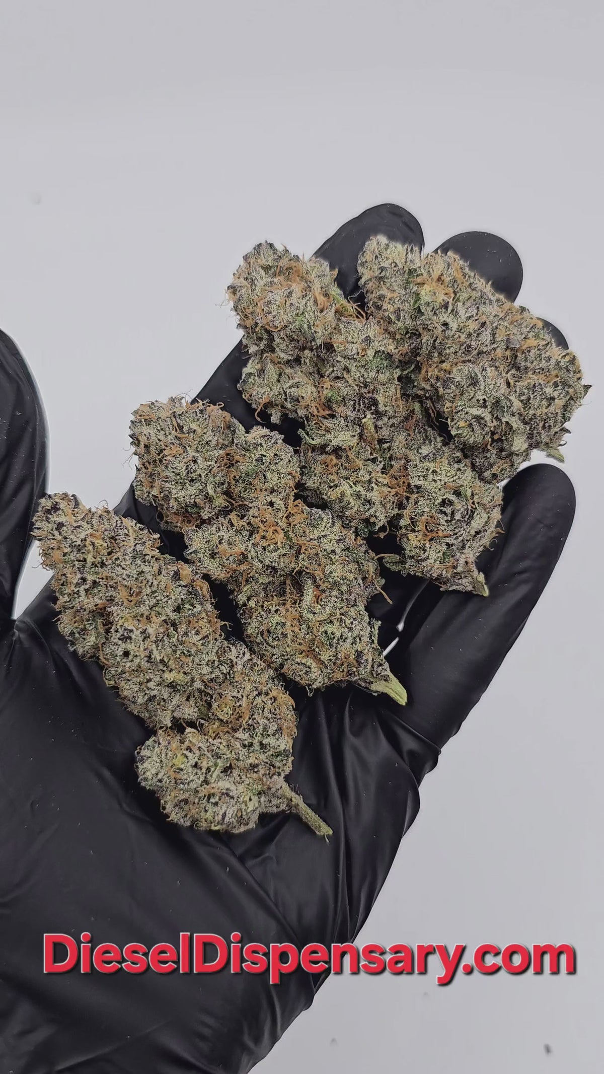 Grape GhostFace | Private Reserve Flower | 34%