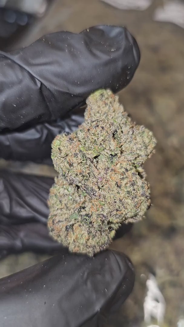 Load video: Blueberry Milk | Boutique Tier | Flower | ON SALE