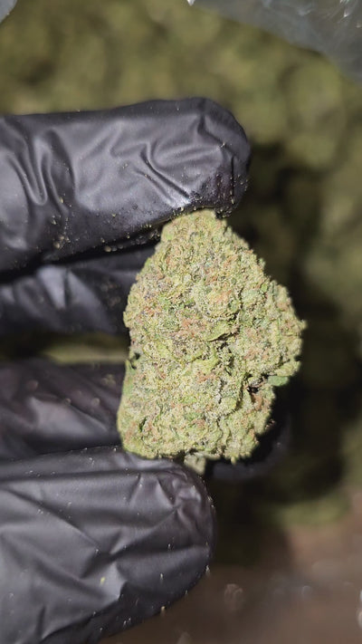 Gas Works | Top Shelf | Flower