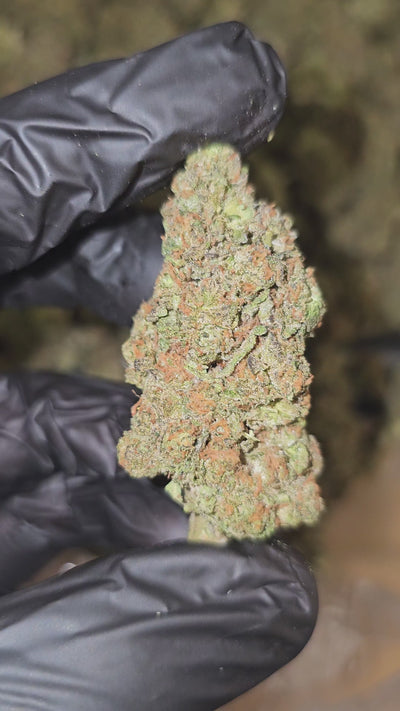 Green Crack | Top Shelf | Flower | On Sale