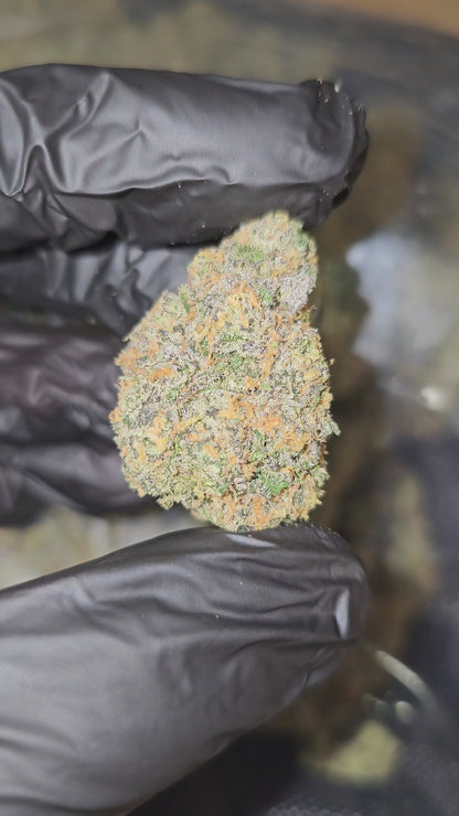 Mark's Alot 3 | Boutique Exotics | Flower