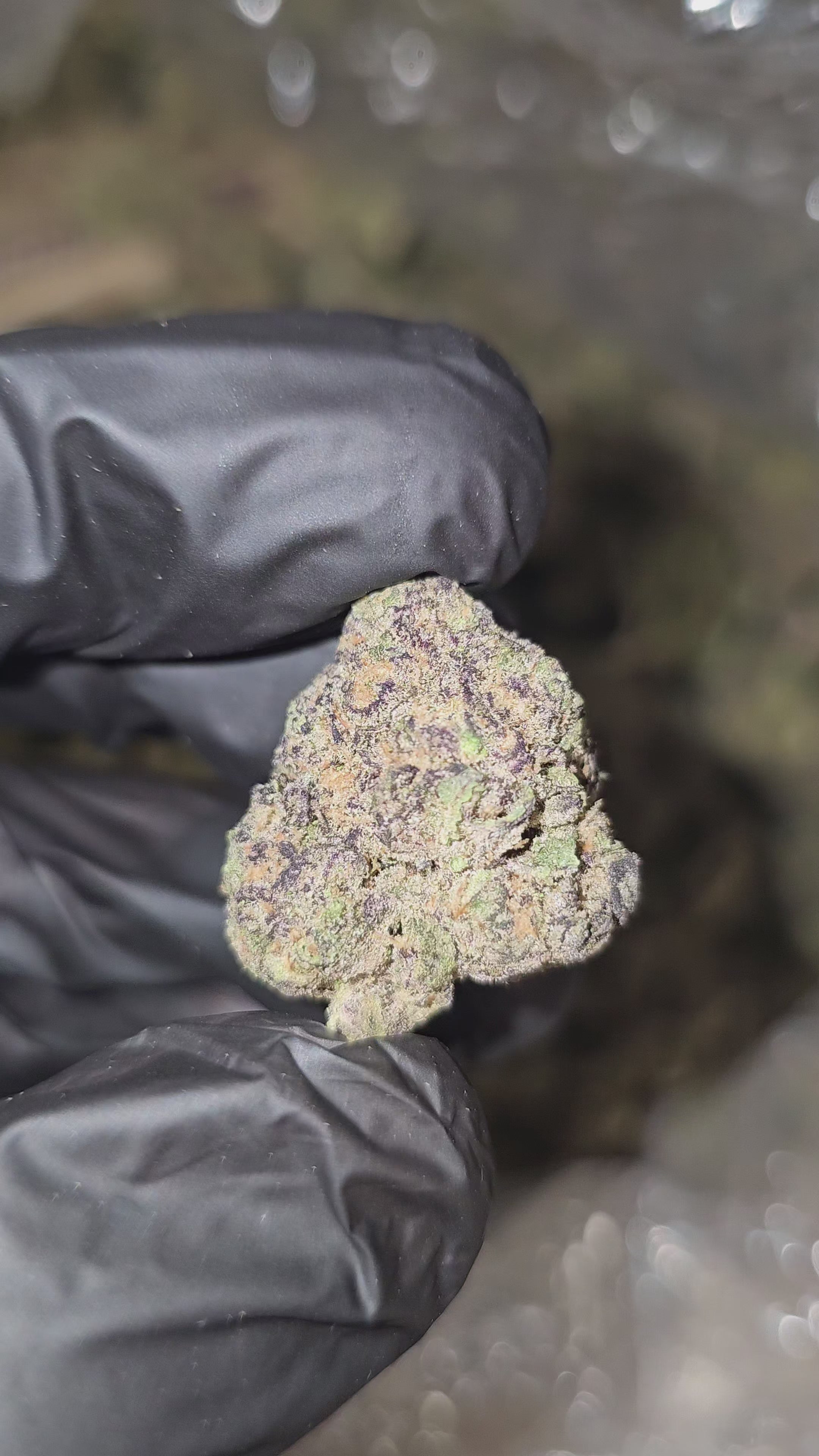 Grape Inferno | Top Shelf | 33% | Flower | On Sale