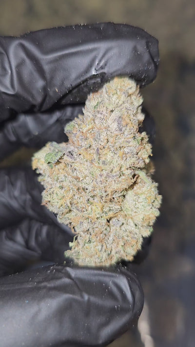 White Widow | First Cut Exotics | 35% | Flower