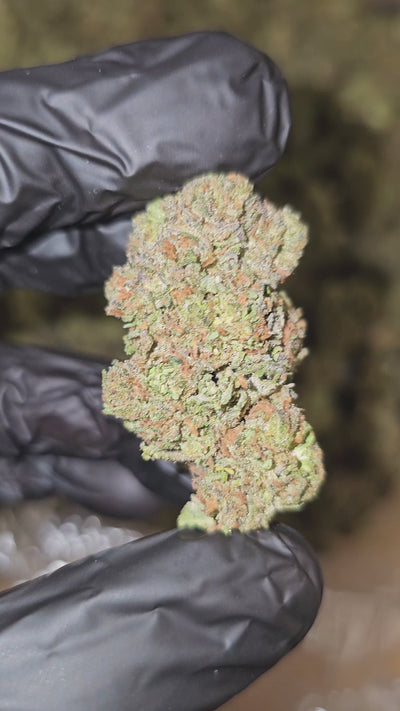Green Crack | Top Shelf | Flower | On Sale