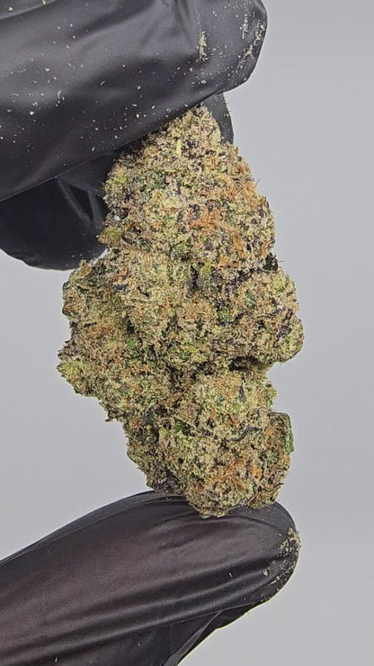 Candy Land | First Cut Exotics | Flower