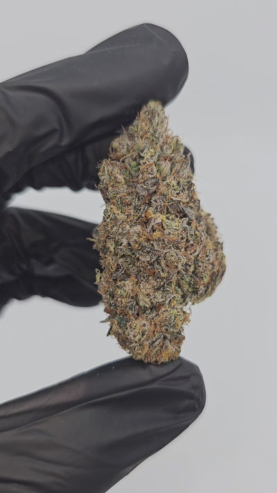 Peanut Butter Cookies | First Cut Exotics | 31% | Flower