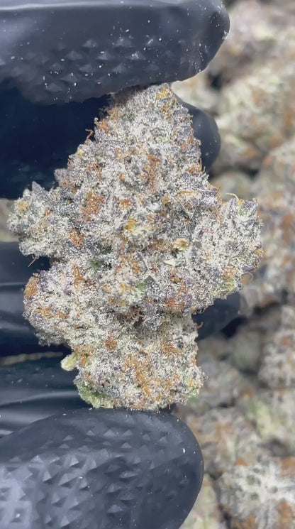 London Pound Cake | First Cut Exclusive | Flower | ON SALE