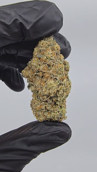 Garlic Icing | Boutique Exotics | Flower | 32.31%