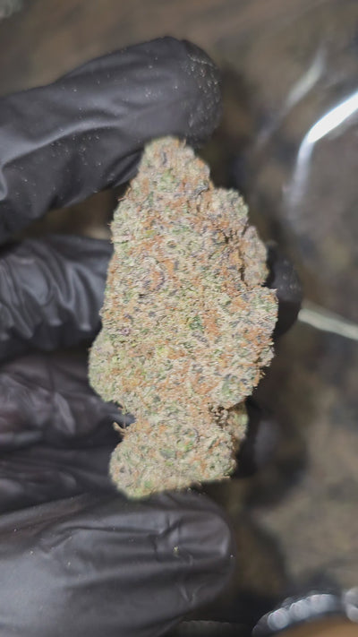 Big League Chew | Boutique Exotics | Flower | On Sale