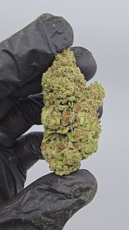 Papaya | Top Tier | Flower