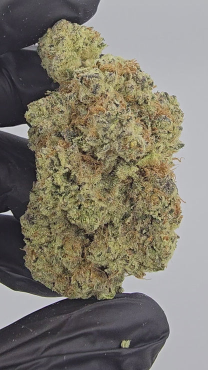 MAC Flurry | First Cut Exotic | Flower | ON SALE