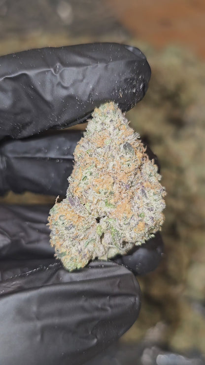 Pink Drink | First Cut Exotics | Flower | 37% | MEMBERS ONLY