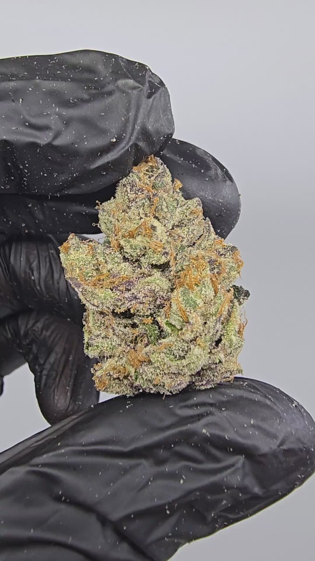 Load video: Citron | Boutique Tier | Flower | 14 Gram Pack