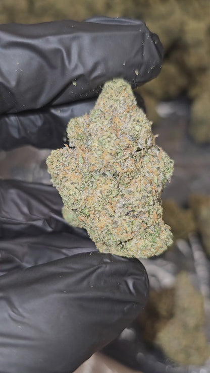 Boss Hog | Boutique Exotics | Flower | MEMBERS ONLY DEAL