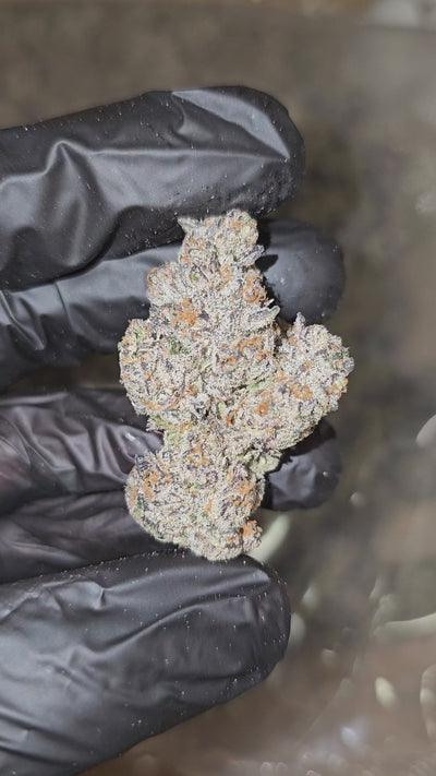 Banana Jealousy | Boutique Exotics | 34% | Flower