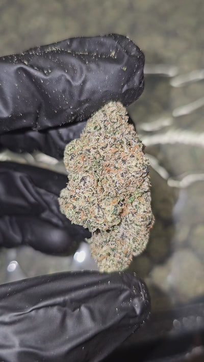 Cherry Fire | Boutique Exotics Flower | 30%