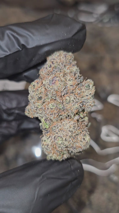 Lizard Burger | First Cut Exotics | Flower | 30.92%