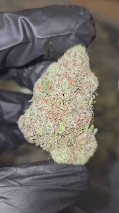Sour Diesel | Boutique Exotics | Flower