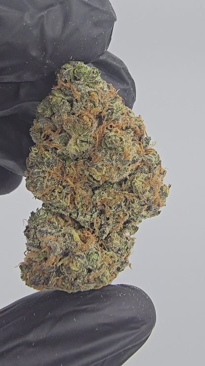 Grape Kush | Boutique Exotics | Flower