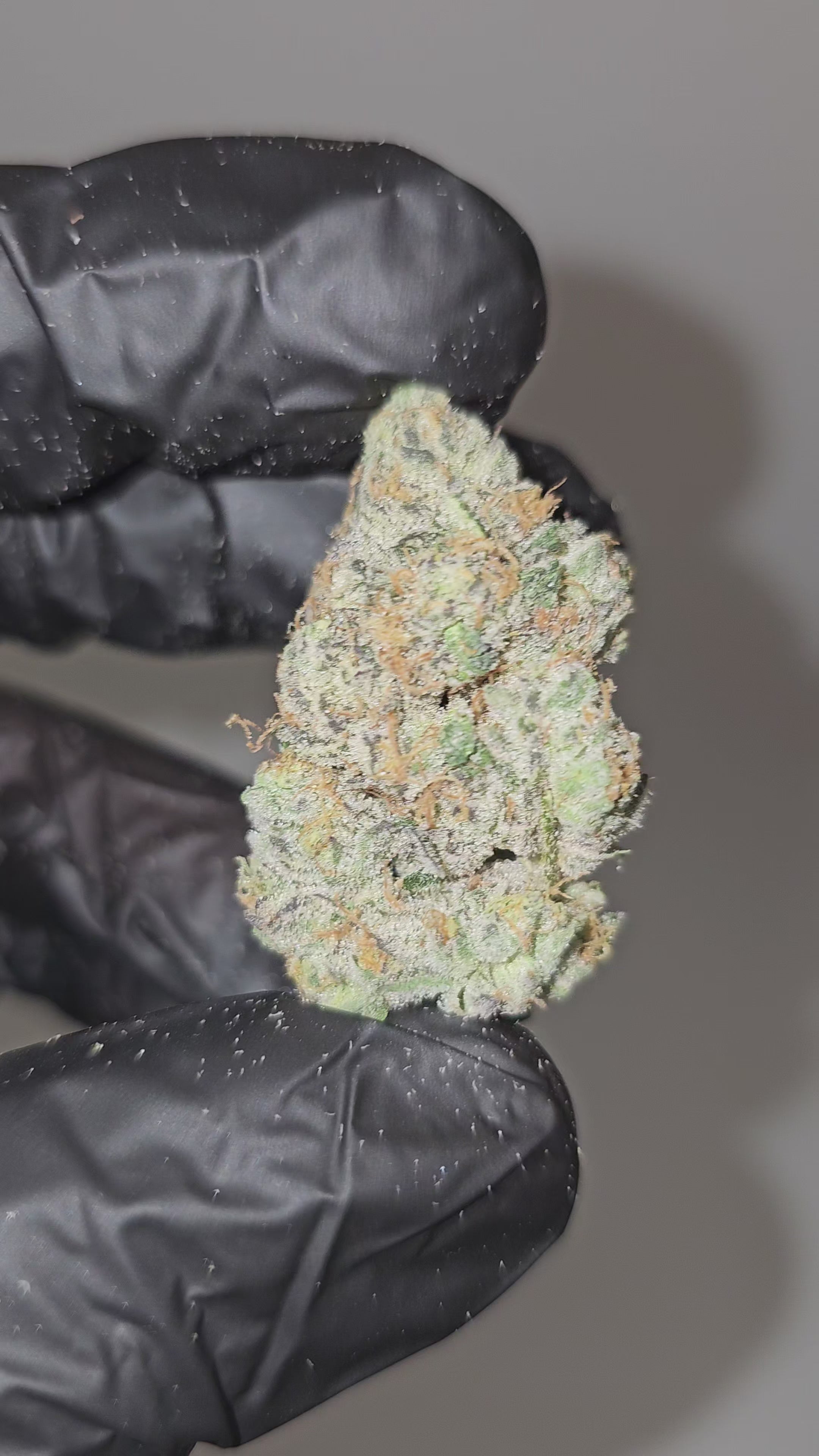 Sour Diesel | First Cut Exotics | Flower