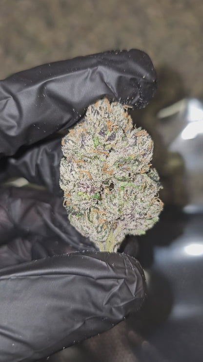 Bubble Bath x Runtz | First Cut Exotics | Flower