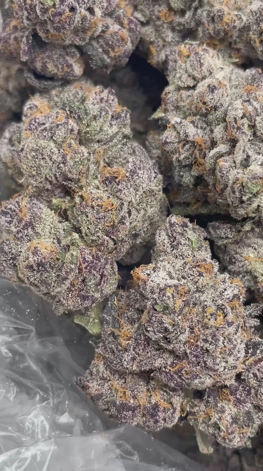 Load video: Pink Berry Runtz | First Cut Exclusive | Flower