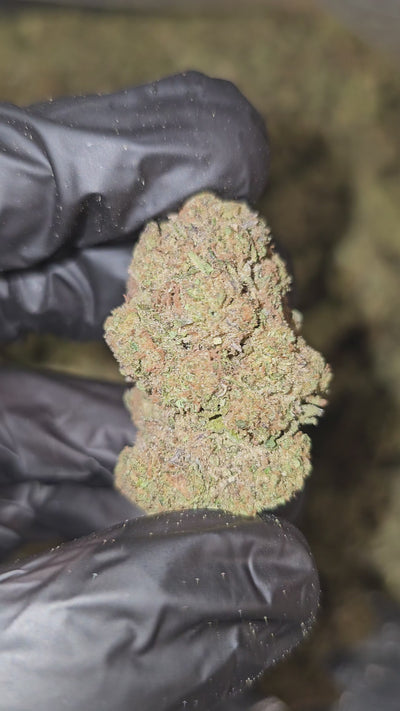 Cherri Taffi | Budget Top Shelf | Flower | On Sale