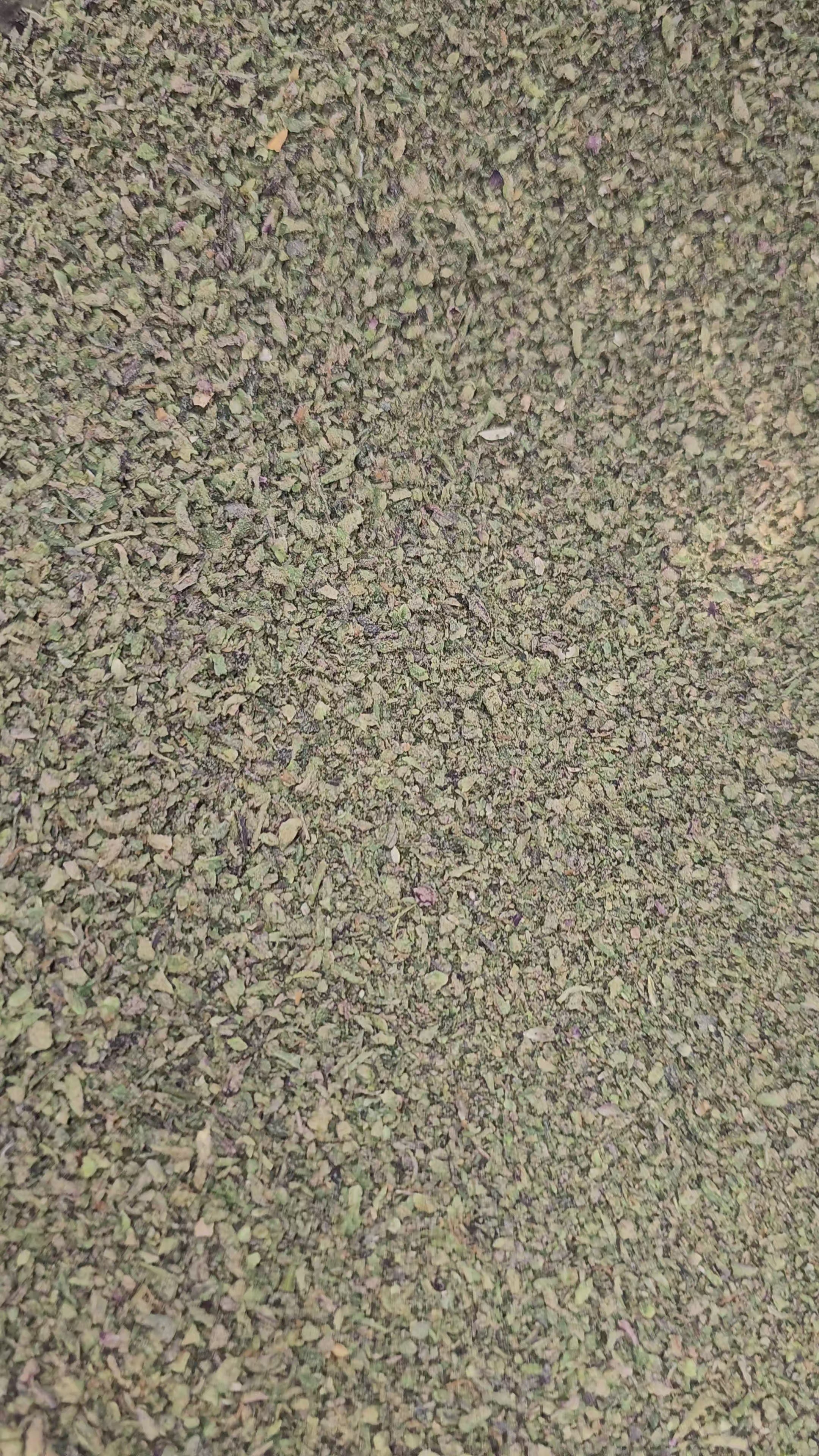 Load video: SHAKE | BULK FLOWER | SHAKE POUND | BUD-TENDER'S CHOICE STRAIN