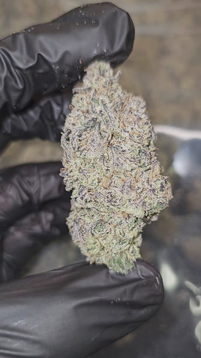 Grape Blunicorn | First Cut Exotics | Flower | 33.29%
