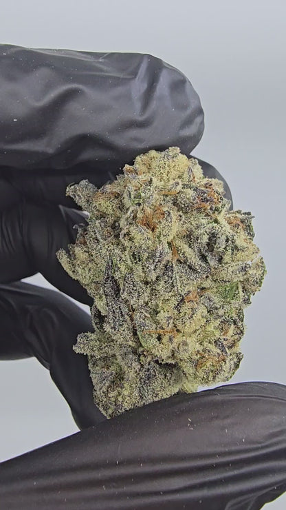 Diamond OG | Boutique Exotics | Flower | MEMBERS ONLY DEAL