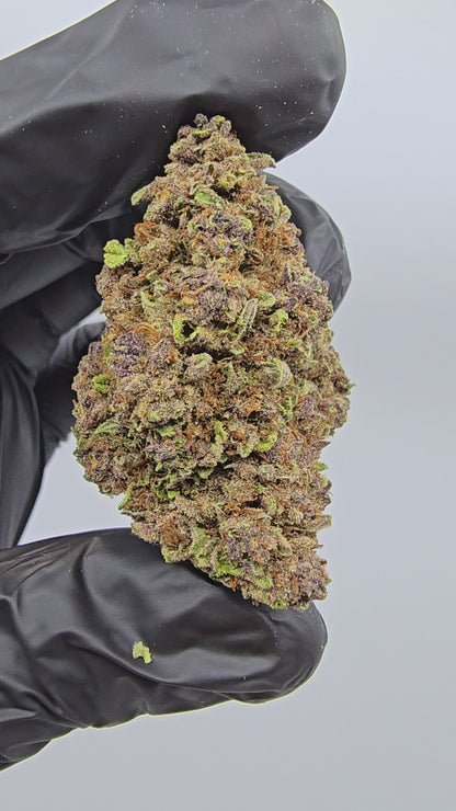 Tropicana Cherry | Top Tier | Flower | ON SALE