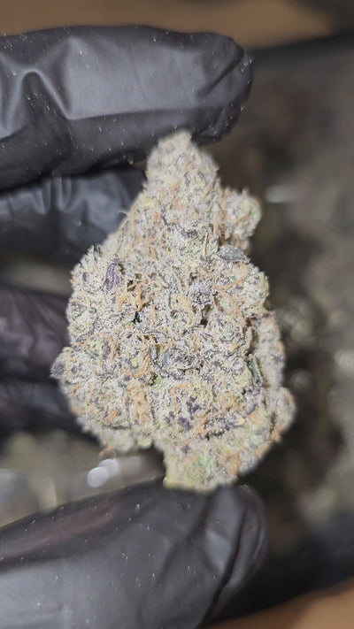 Melonade Skunk | First Cut Exotics | Flower