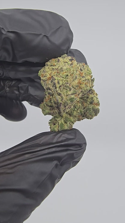 Shadow Cookies | Boutique Exotics | Flower