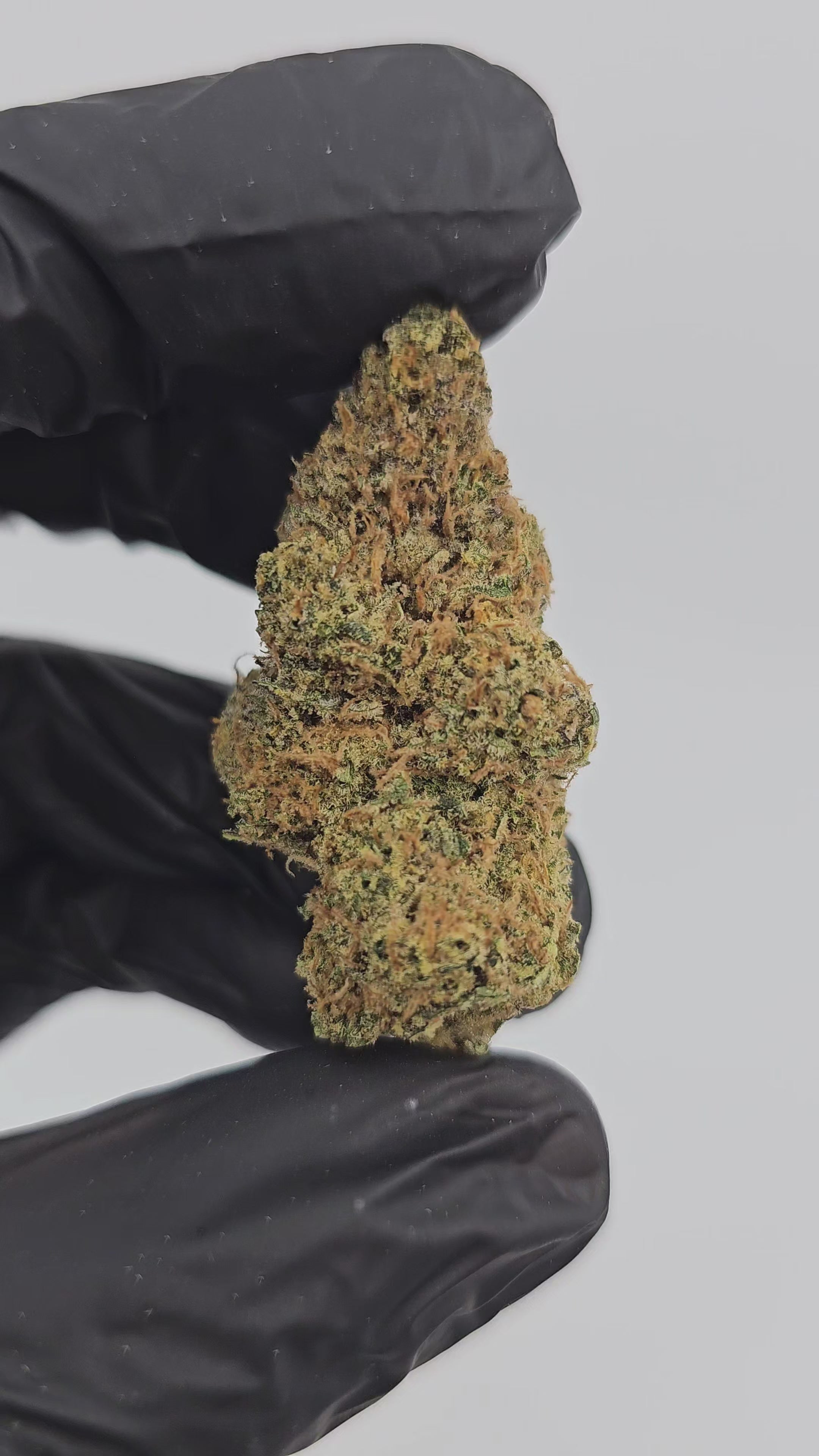 Load video: Fire OG | Boutique Exotics | Flower | On Sale