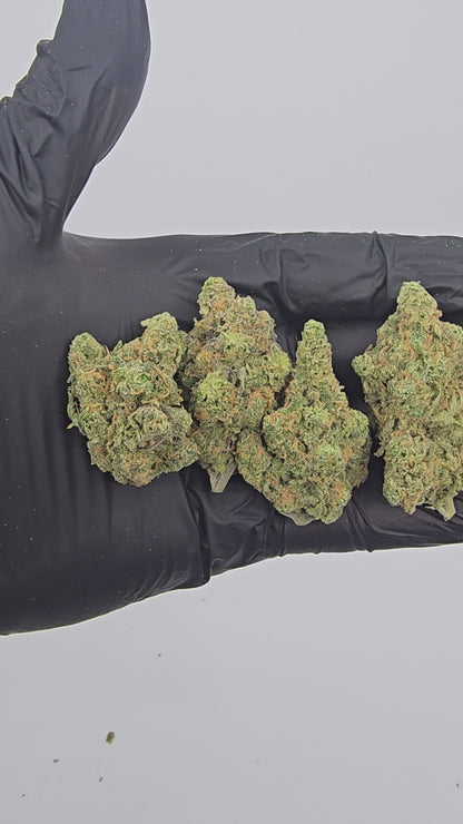 Blue Dream | Boutique Tier | Flower