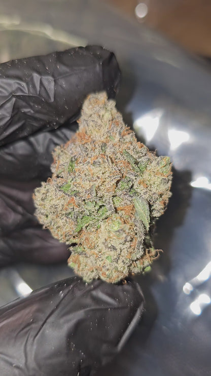 TimeWreck | First Cut Exclusive | Flower