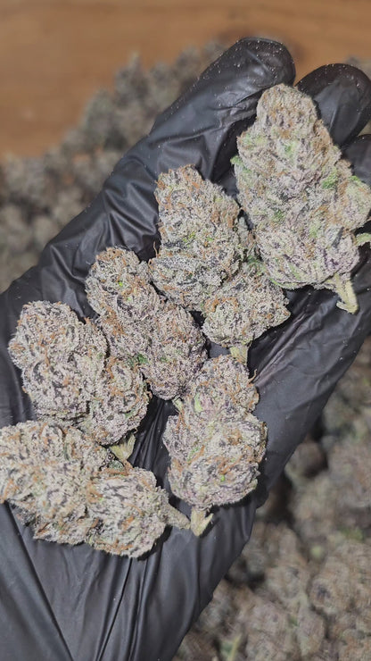 Blue Nerdz | First Cut Exclusive | Flower | 7g Packs
