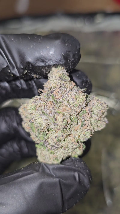 Blue Dream | First Cut Exotics | Flower 36%